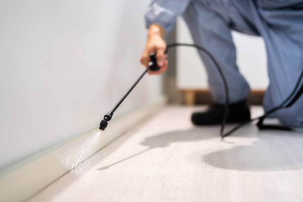 Licensed Mosquito Control service in South Burlington, VT - Show Me Pest Control