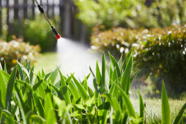24/7 Emergency Mosquito Control experts in South Burlington, VT