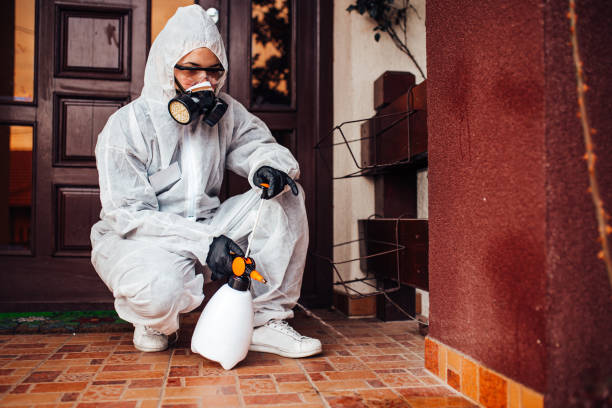 Reliable Mosquito Control contractor in South Burlington, VT by Show Me Pest Control