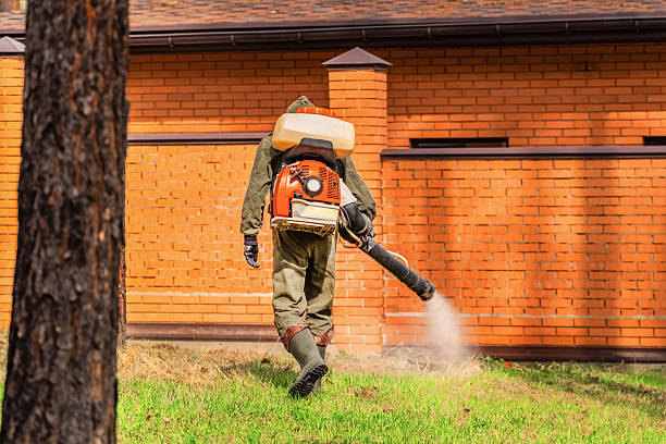 Top rated local Mosquito Control specialists in South Burlington, VT